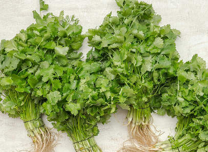 Three bunches of parsley