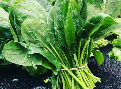Bunch of spinach